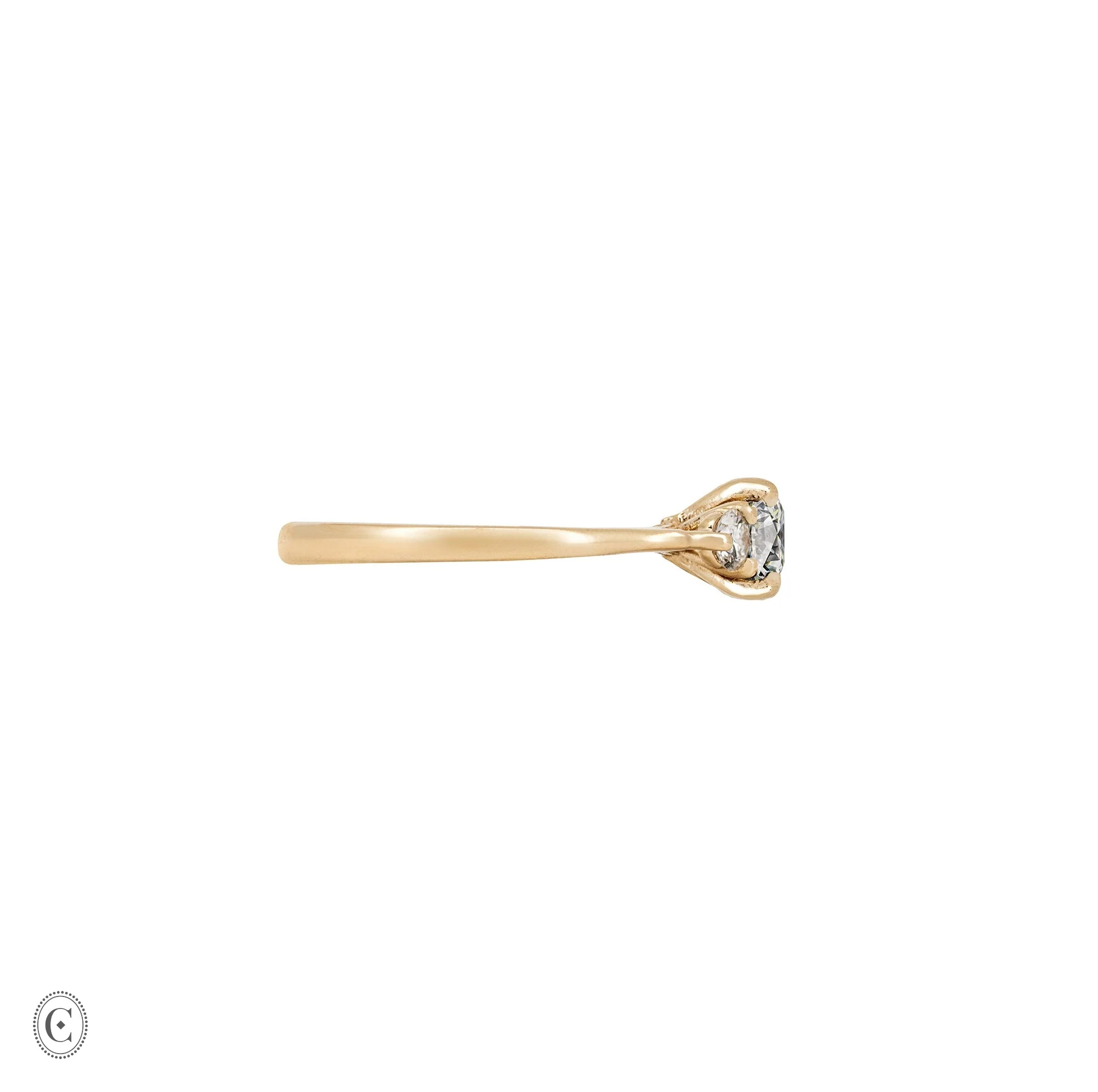 You, Me & Magic - Grey Diamond Engagement Ring 14k Gold - Image 5